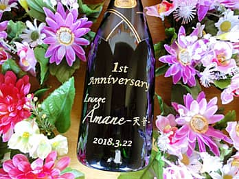 u1st anniversaryAX̃SAtv{gʂɒANjp̃Vp