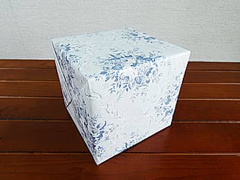 ԊFV-2̃bsỎ摜