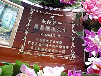 すべての美しい花の画像 最新のhd社長 就任 祝い 贈り物