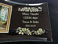 eip̎ʐ^āiMany thanksAo猋܂ł̓AVYƐVw̖OA̓tAKX̎ʐ^Ăɒj