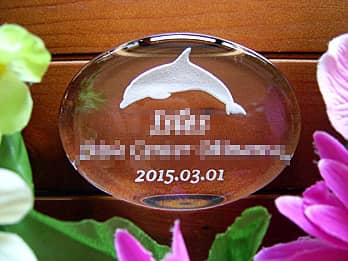 「イルカのイラスト、受賞者の名前、日付」を彫刻した、賞品用のガラス製ペーパーウェイト